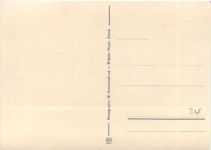 Zürich - Wochenmarkt