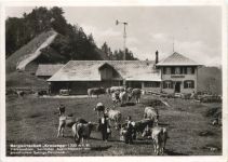 Bergwirtschaft Kreuzegg
