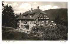 Herrenalb - Friedenshöhe