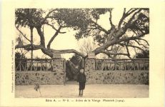 Matarieh - Arbre de la Vierge - Egypt