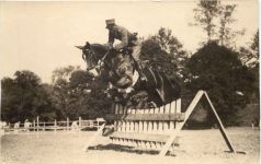 Springreiten