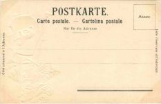 Kanton Bern Wappen - Litho Prägekarte