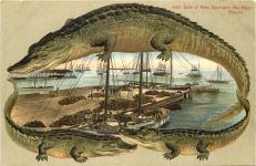Florida - Key West - Sale of New Sponges - Crocodile