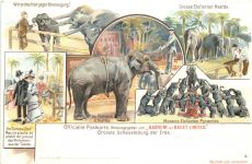 Zirkus - Barnum and Bailey Limited - Litho