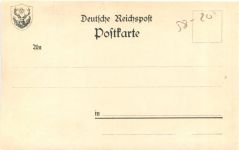 Künstler Ak - Wildschweine
