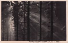 MORGENSONNENSTRAHLEN - 2801