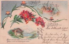 GRUSS aus
