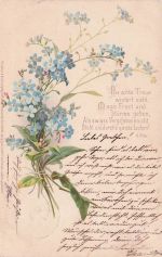 Vergissmeinnicht Blumenstrauß 1900 Gedicht von H Pilz Vintage Postkarte