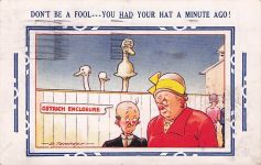 DON'T BE A FOOL---YOU HAD YOUR HAT A MINUTE AGO!