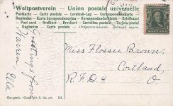 from Miss Flossie Brown, Cortland, Ges. gesch. Copyright. S. No. 265