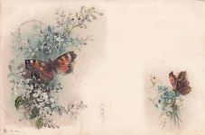 Lithographie Schmetterlinge auf blühenden Blumen