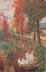 malerische Herbstlandschaft mit einem kleinen Bach, in dem mehrere