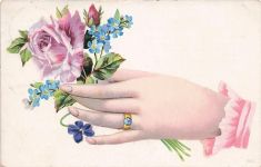Fantasie - Die Hand einer frau und ein Blumenstrauß