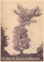 Lutherbaum