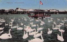 AK Hamburg, Schwäne auf der Alster