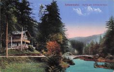 Rudolstadt Partie am Schweizerhaus Schwarzatal Kat. Rudolstadt