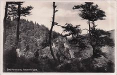Bad Harzburg. Rabenklippe,
