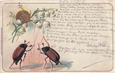 Litho Maikäfer, Maiglöckchen