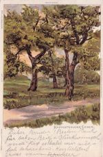 Künstler AK Hamburg-Harvestehude, Harvestehuder Eichen 1900