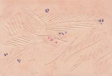 künstlerische Darstellung, die durch das Relief im Papier Brieftaube