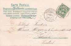 Seiden-Aplikation Kleeblatt Blumen Neujahr