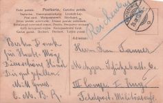 Blumen Haar Frau 1907