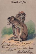 zwei Affen, . Es wurde am 15. Juli 1903 in Brüssel verschickt.