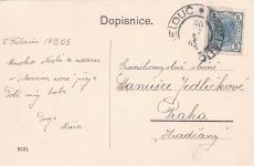 Glückwunsch zum neuen Jahr! Engel