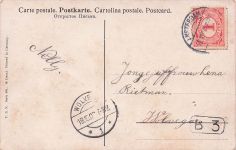 Küken und Entenküken zusammen