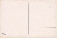 Ein Strauß aus orangefarbenen und gelben Blumen