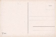 Ein Strauß aus orangefarbenen und gelben Blumen