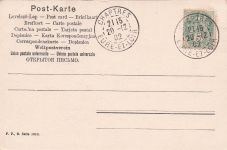 Mädchen Das Glücksschwein