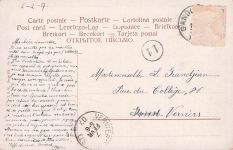 Mädchen mit Hund und Gans, Künstlerkarte, Verlag TSN 1906 in Miltenberg versandt