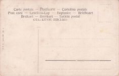 K Niederländerin mit Gänsen und Küken an einer Wanne