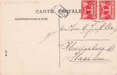 humorvolle Zeichnung von zwei Katzen.