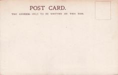 Reiter, der rücklings von einem Pferd fällt.