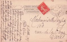 Künstler Ak Drei junge Frauen, Weintrauben, Stechpalmenzweige