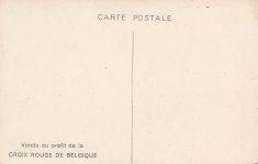 Künstler-AK Croix Rouge de Belgique, Catastrophe et Calamites, Rotes Kreuz