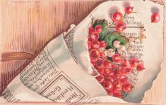 Präge Ak Glückwunsch, Johannisbeeren in einer Tüte aus Zeitungspapier