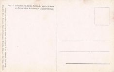 Niederländische Militärsoldatenuniformen Van Oorschot Postkarte aus der Zeit des Ersten Weltkriegs Nr. 17