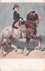 Serie XXVII/2 Angelo Jank : Im Sattel - Frau im Damensattel , Reiten