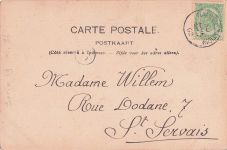 drei Personen, die in einem Wald Äste und Reisig sammeln.