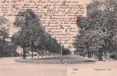 BONN 8116 Poppelsdorfer Allee