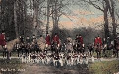 raditionelle Fuchsjagd, eine Jagd, bei der Jäger zu Pferd einer Hundemeute