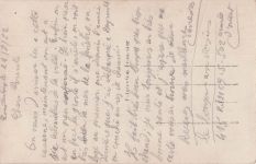 - Ein Soldat Mit Weißen Blüten