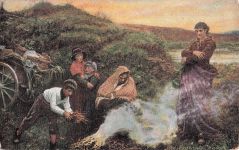 Friedrich Walker - Die Vagrants