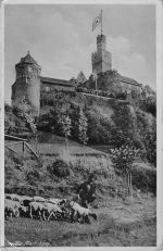 AK / Ansichtskarte Marksburg Panorama Kat. Braubach