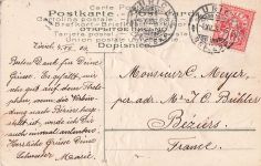 Das letzte Edelweiss.