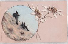 ALPINE TROOPS MIT SCHÜTZENMÜTZE UND EGELSTOCK AN EINEM SCHWENK UND Edelweiß. REISEN.