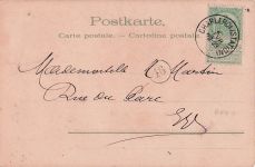 Tiere darstellt. Der Hauptfokus liegt auf einem Hund in Polizeiuniform,